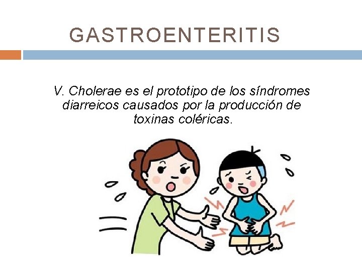 GASTROENTERITIS V. Cholerae es el prototipo de los síndromes diarreicos causados por la producción