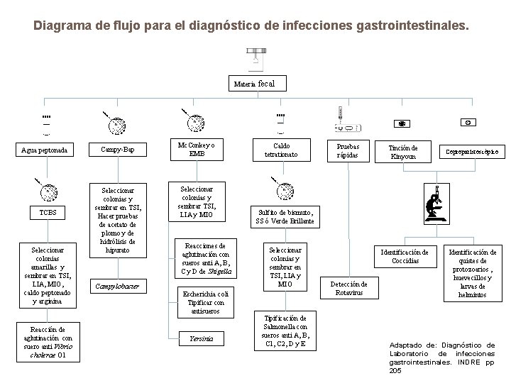 Diagrama de flujo para el diagnóstico de infecciones gastrointestinales. Materia Agua peptonada TCBS Seleccionar