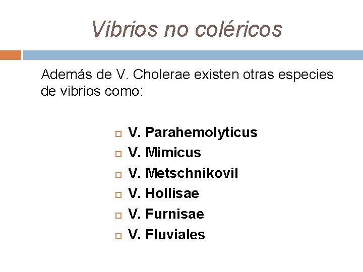 Vibrios no coléricos Además de V. Cholerae existen otras especies de vibrios como: V.