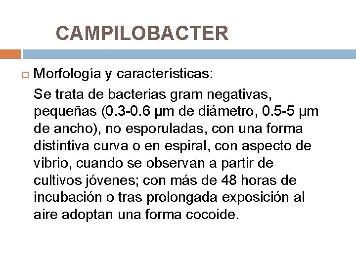 CAMPILOBACTER Morfología y características: Se trata de bacterias gram negativas, pequeñas (0. 3 -0.