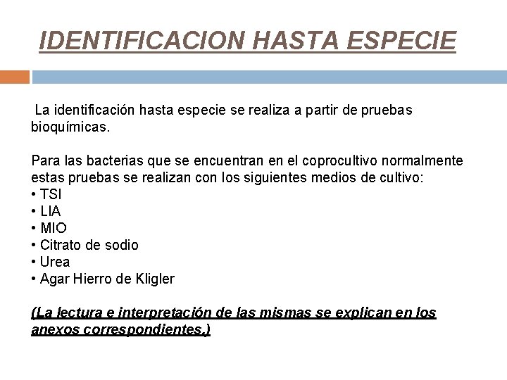IDENTIFICACION HASTA ESPECIE La identificación hasta especie se realiza a partir de pruebas bioquímicas.