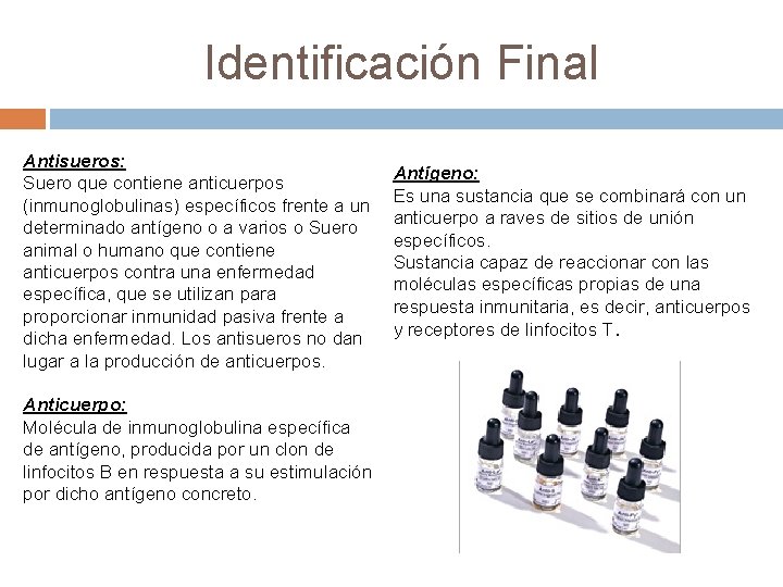 Identificación Final Antisueros: Suero que contiene anticuerpos (inmunoglobulinas) específicos frente a un determinado antígeno