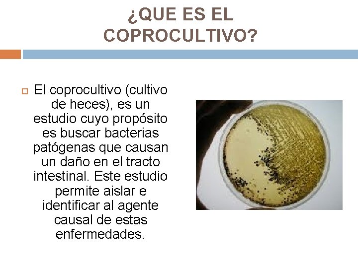 ¿QUE ES EL COPROCULTIVO? El coprocultivo (cultivo de heces), es un estudio cuyo propósito