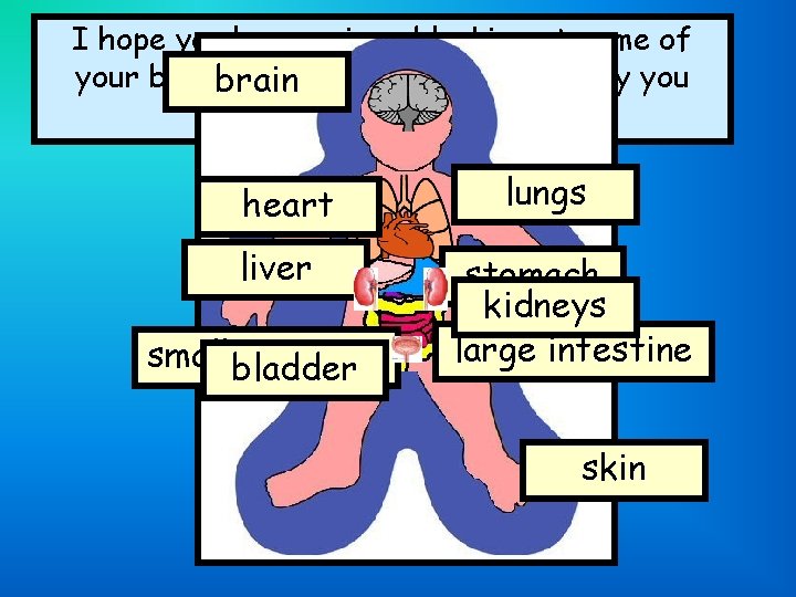 I hope you have enjoyed looking at some of your body’s organs. Let’s see