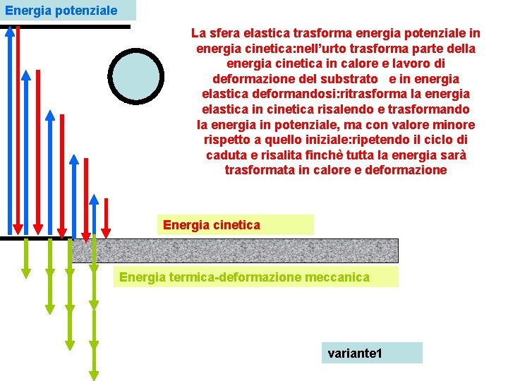 Energia potenziale La sfera elastica trasforma energia potenziale in energia cinetica: nell’urto trasforma parte
