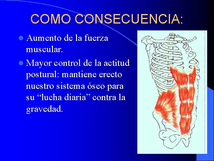 COMO CONSECUENCIA: l Aumento de la fuerza muscular. l Mayor control de la actitud