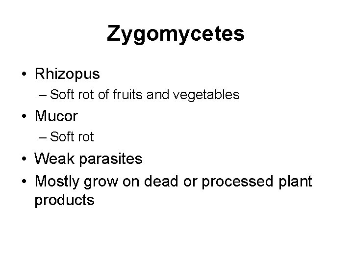 Zygomycetes • Rhizopus – Soft rot of fruits and vegetables • Mucor – Soft