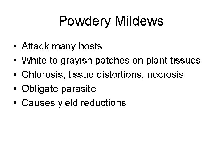 Powdery Mildews • • • Attack many hosts White to grayish patches on plant