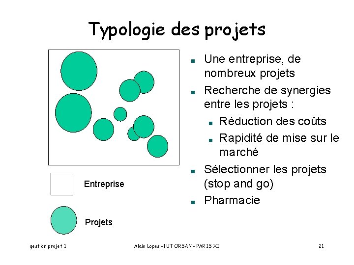 Typologie des projets Entreprise Une entreprise, de nombreux projets Recherche de synergies entre les
