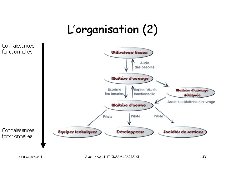 L’organisation (2) Connaissances fonctionnelles gestion projet 1 Alain Lopes -IUT ORSAY - PARIS XI