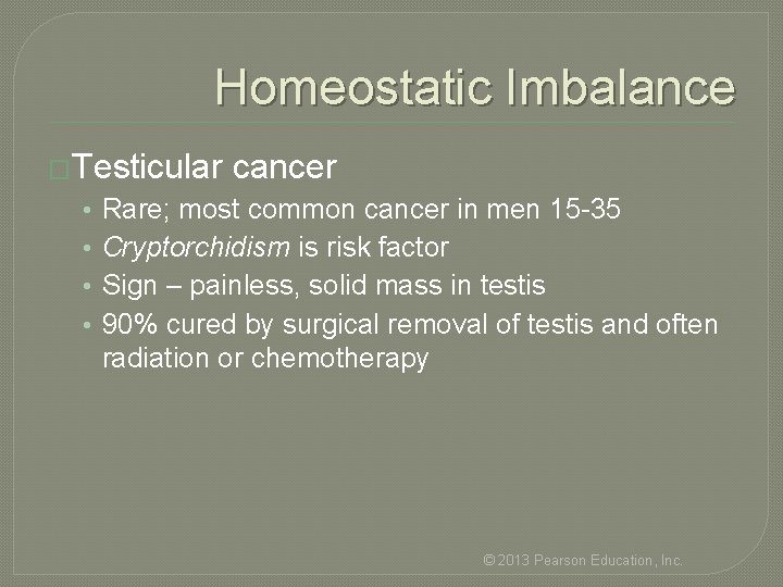 Homeostatic Imbalance �Testicular • • cancer Rare; most common cancer in men 15 -35