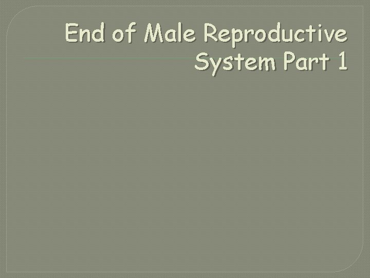 End of Male Reproductive System Part 1 