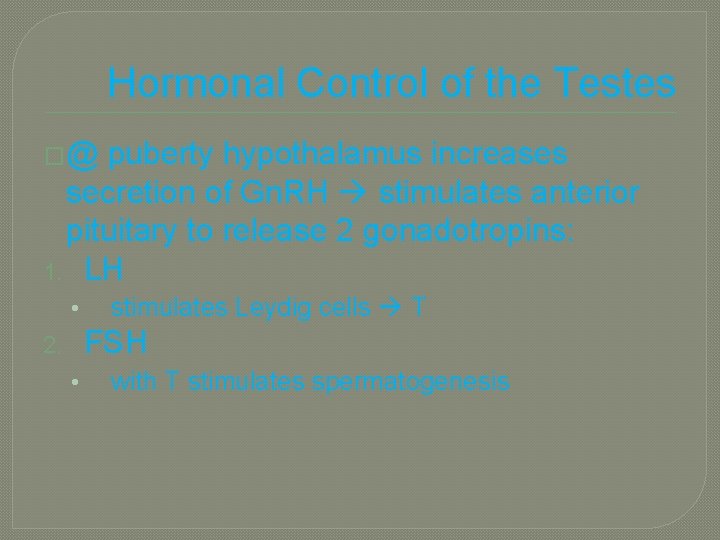 Hormonal Control of the Testes �@ puberty hypothalamus increases secretion of Gn. RH stimulates
