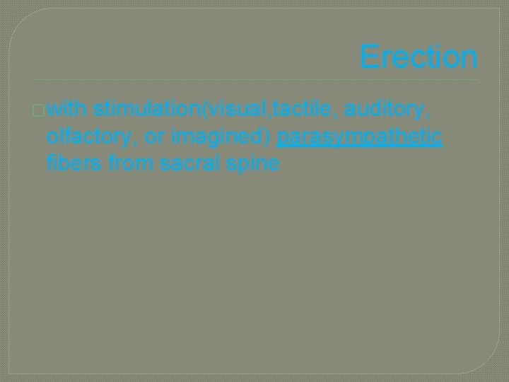 Erection �with stimulation(visual, tactile, auditory, olfactory, or imagined) parasympathetic fibers from sacral spine 