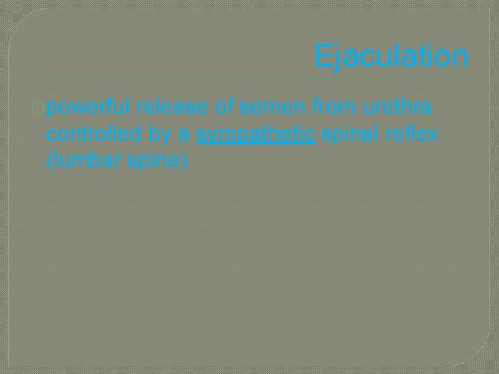 Ejaculation �powerful release of semen from urethra controlled by a sympathetic spinal reflex (lumbar