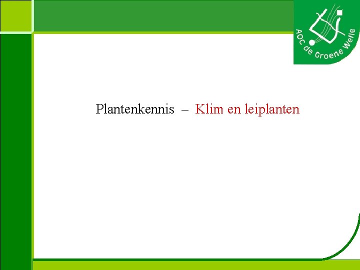 Plantenkennis – Klim en leiplanten 