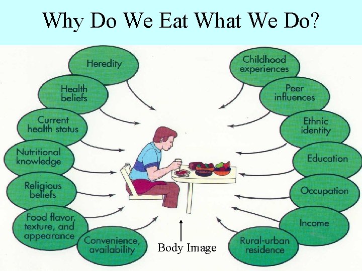 Why Do We Eat What We Do? Body Image 