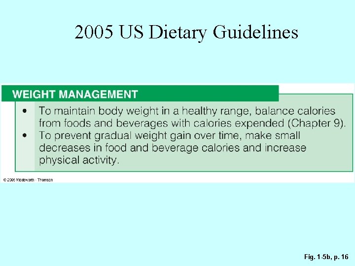 2005 US Dietary Guidelines Fig. 1 -5 b, p. 16 
