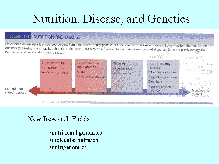 Nutrition, Disease, and Genetics New Research Fields: • nutritional genomics • molecular nutrition •