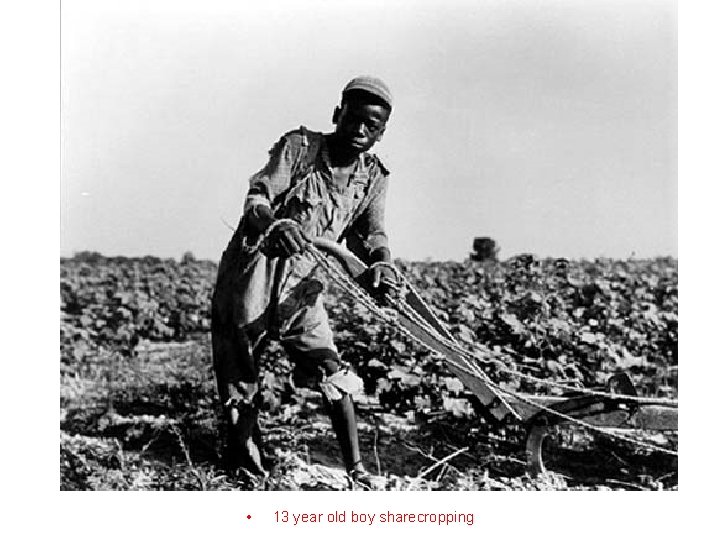  • 13 year old boy sharecropping 