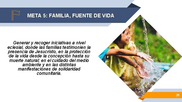 META 5: FAMILIA, FUENTE DE VIDA Generar y recoger iniciativas a nivel eclesial, donde