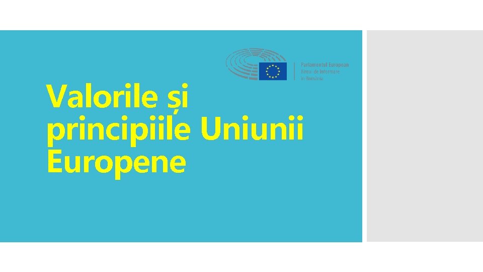 Valorile și principiile Uniunii Europene 