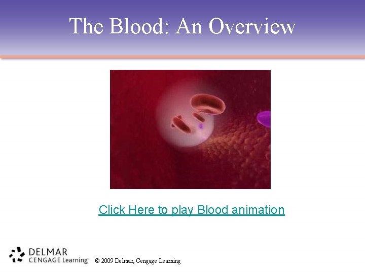 The Blood: An Overview Click Here to play Blood animation © 2009 Delmar, Cengage