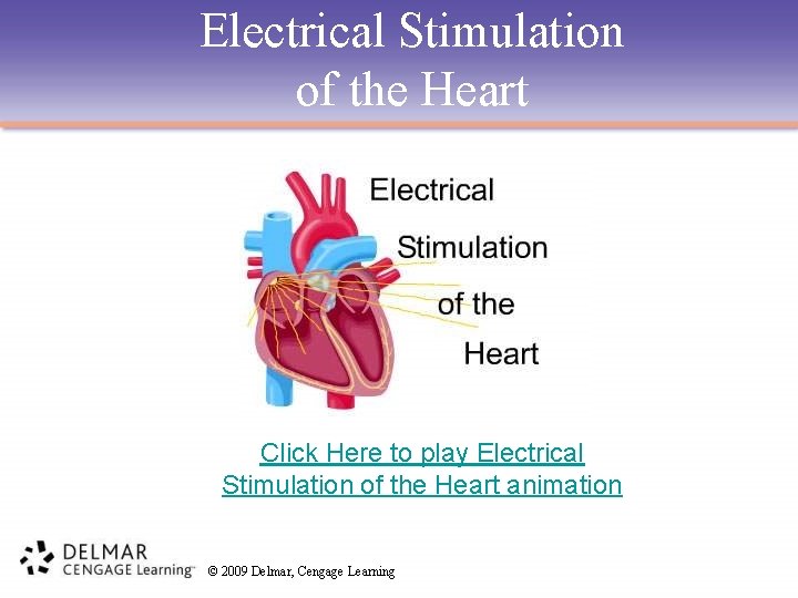 Electrical Stimulation of the Heart Click Here to play Electrical Stimulation of the Heart