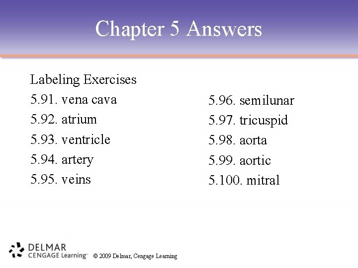 Chapter 5 Answers Labeling Exercises 5. 91. vena cava 5. 92. atrium 5. 93.