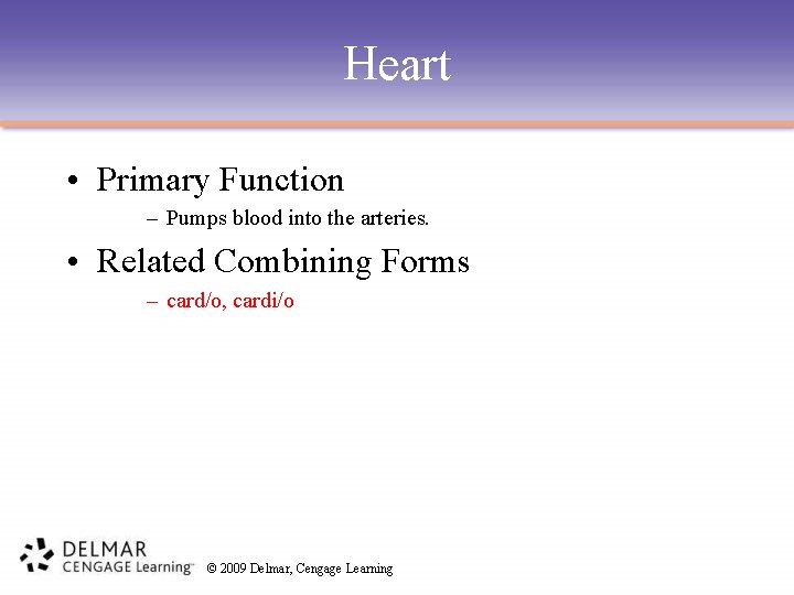 Heart • Primary Function – Pumps blood into the arteries. • Related Combining Forms