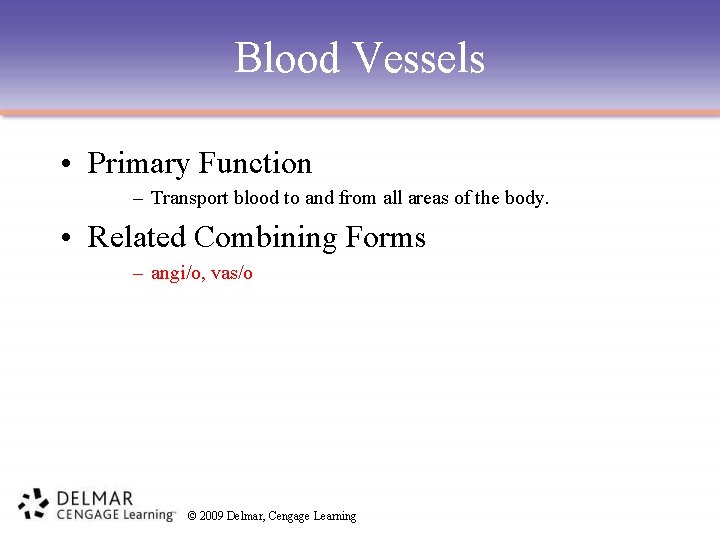 Blood Vessels • Primary Function – Transport blood to and from all areas of