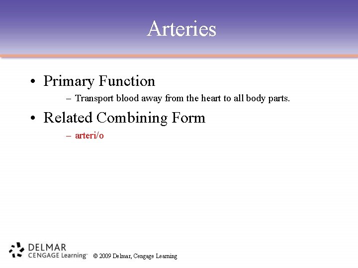 Arteries • Primary Function – Transport blood away from the heart to all body
