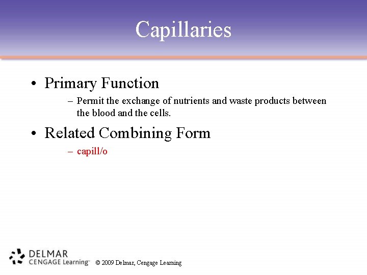Capillaries • Primary Function – Permit the exchange of nutrients and waste products between