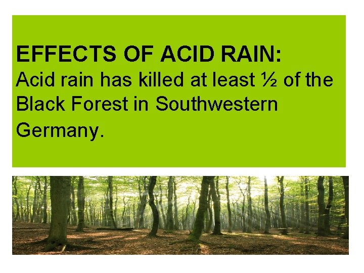 EFFECTS OF ACID RAIN: Acid rain has killed at least ½ of the Black