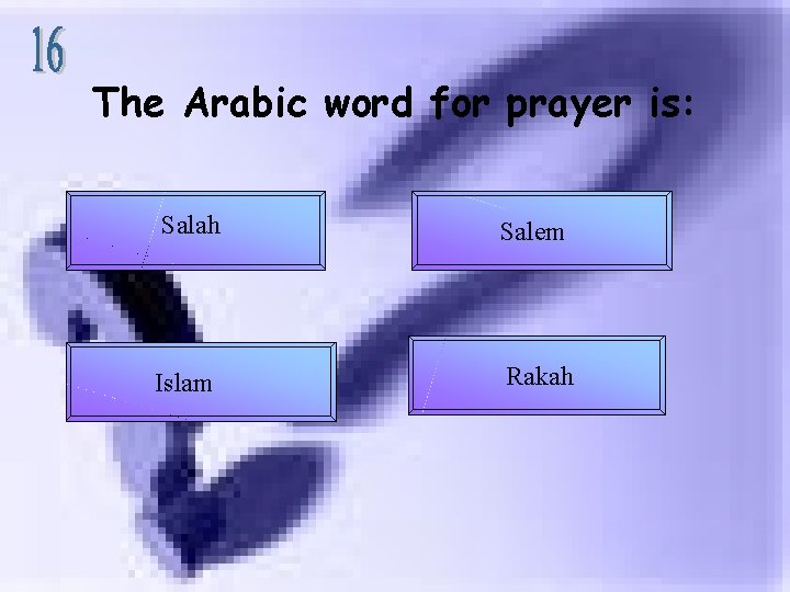 The Arabic word for prayer is: Salah Salem Islam Rakah 