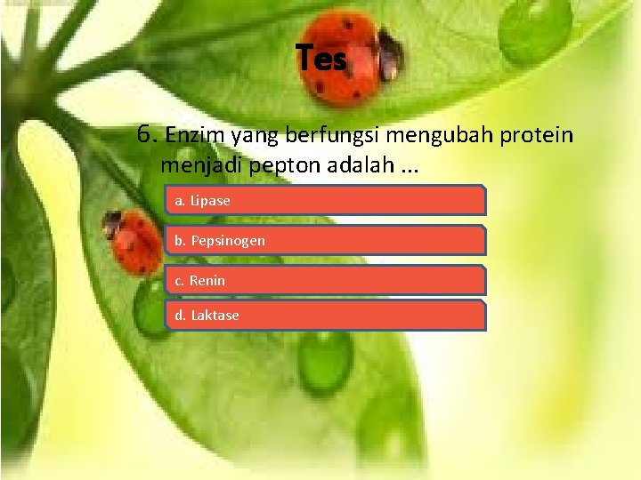 Tes 6. Enzim yang berfungsi mengubah protein menjadi pepton adalah. . . a. Lipase