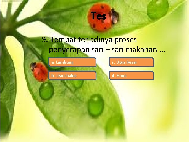 Tes 9. Tempat terjadinya proses penyerapan sari – sari makanan. . . a. Lambung