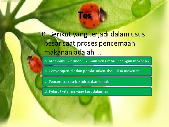 Tes 10. Berikut yang terjadi dalam usus besar saat proses pencernaan makanan adalah. .