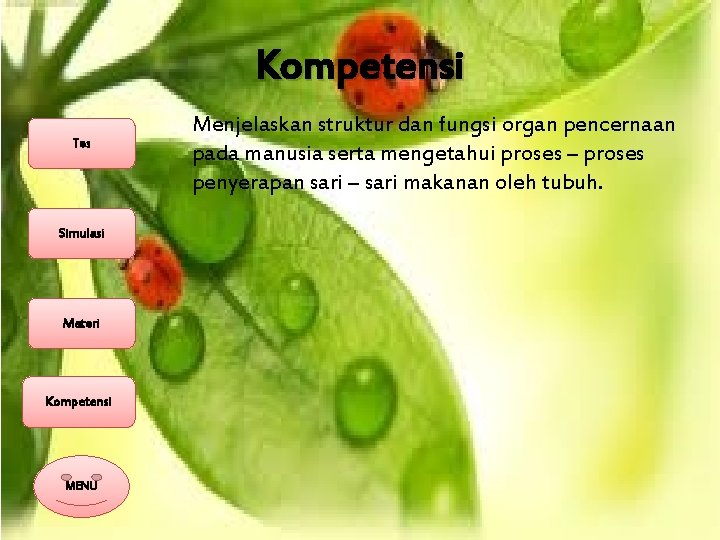 Kompetensi Tes Simulasi Materi Kompetensi MENU Menjelaskan struktur dan fungsi organ pencernaan pada manusia