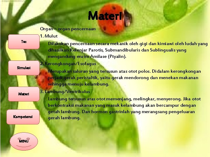 Materi Tes Simulasi Materi Kompetensi MENU Organ – organ pencernaan 1. Mulut Dilakukan pencernaan