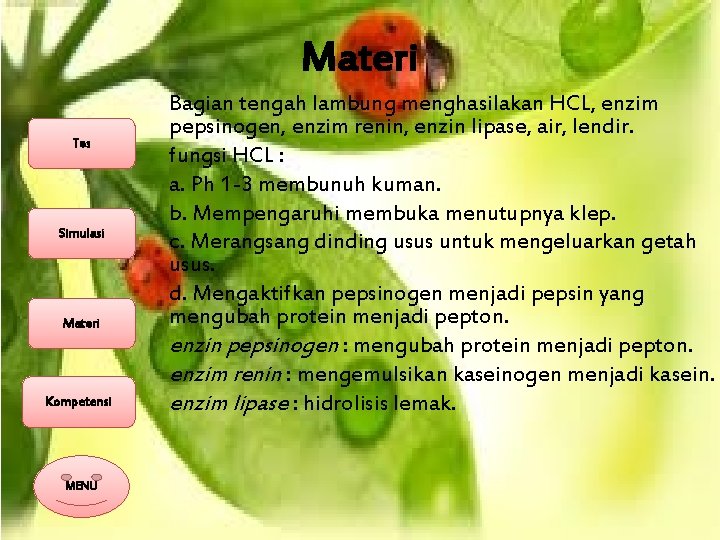 Materi Tes Simulasi Materi Kompetensi MENU Bagian tengah lambung menghasilakan HCL, enzim pepsinogen, enzim