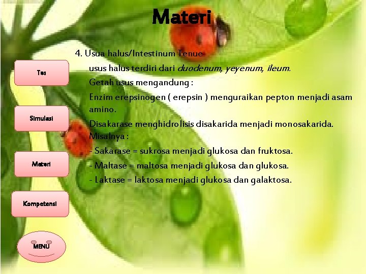 Materi Tes Simulasi Materi Kompetensi MENU 4. Usua halus/Intestinum Tenue usus halus terdiri dari