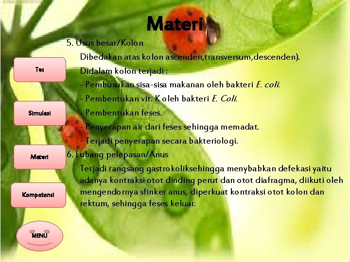 Materi Tes Simulasi Materi Kompetensi MENU 5. Usus besar/Kolon Dibedakan atas kolon ascenden, transversum,