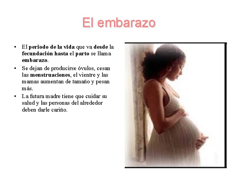 El embarazo • El periodo de la vida que va desde la fecundación hasta