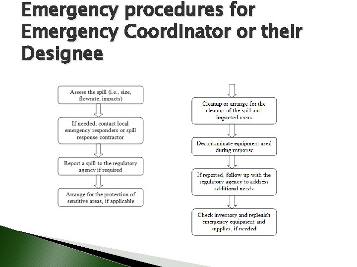 Emergency procedures for Emergency Coordinator or their Designee 