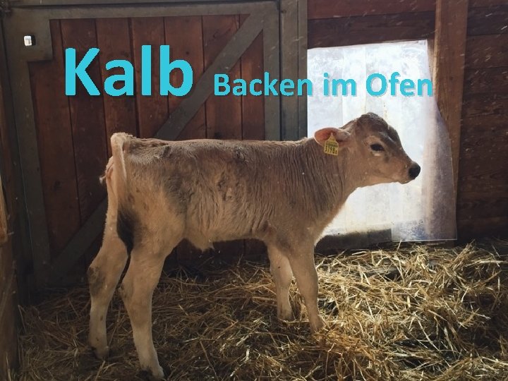 Kalb Backen im Ofen 