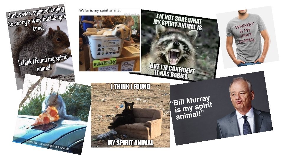Spirit Animals and other cultural appropriation practices All