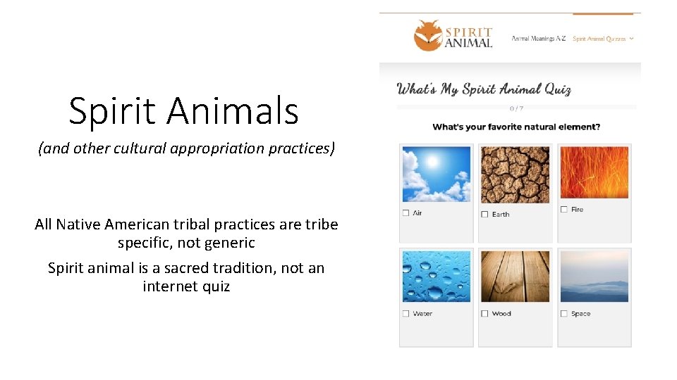 Spirit Animals and other cultural appropriation practices All