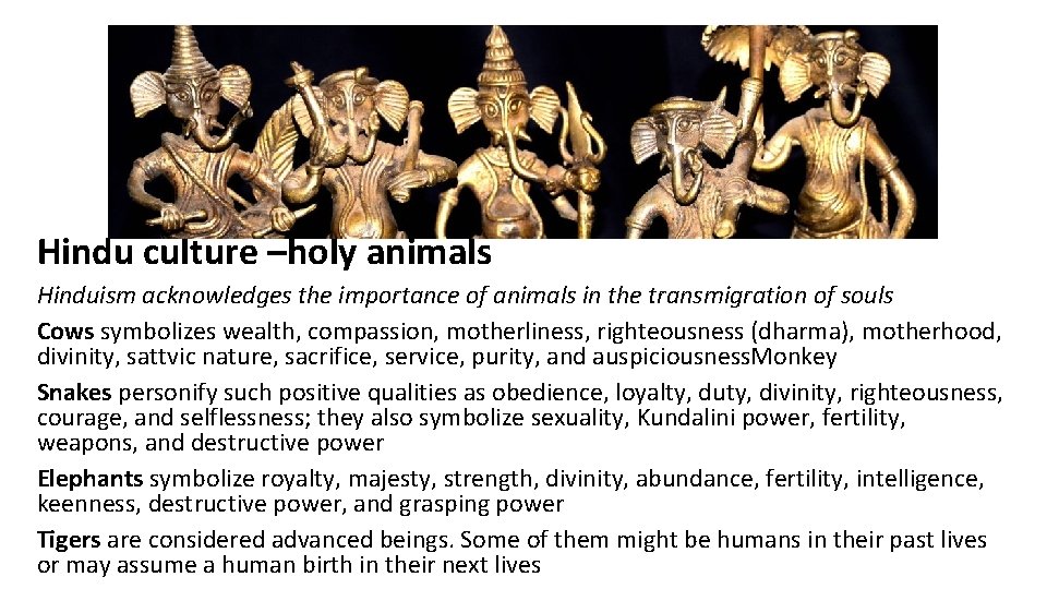 Hindu culture –holy animals Hinduism acknowledges the importance of animals in the transmigration of