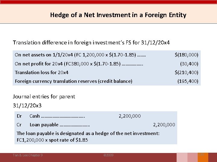 Hedge of a Net Investment in a Foreign Entity Translation difference in foreign investment’s